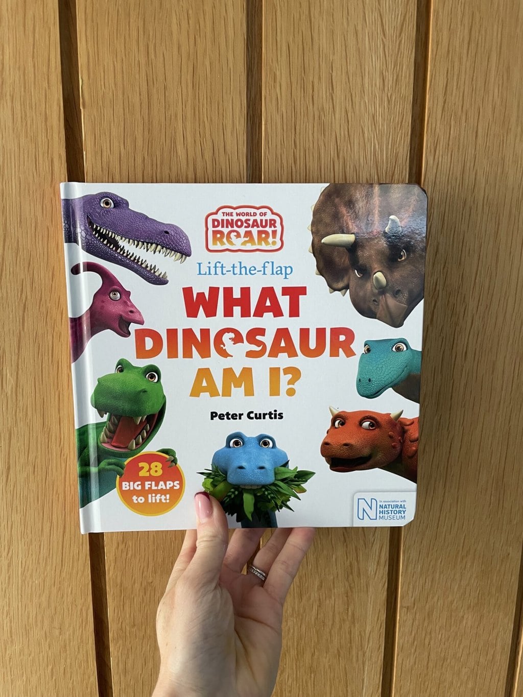 Lift-the-Flap What Dinosaur Am I?