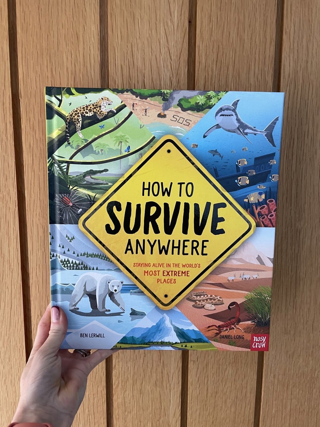 How to Survive Anywhere – Ben Lerwill