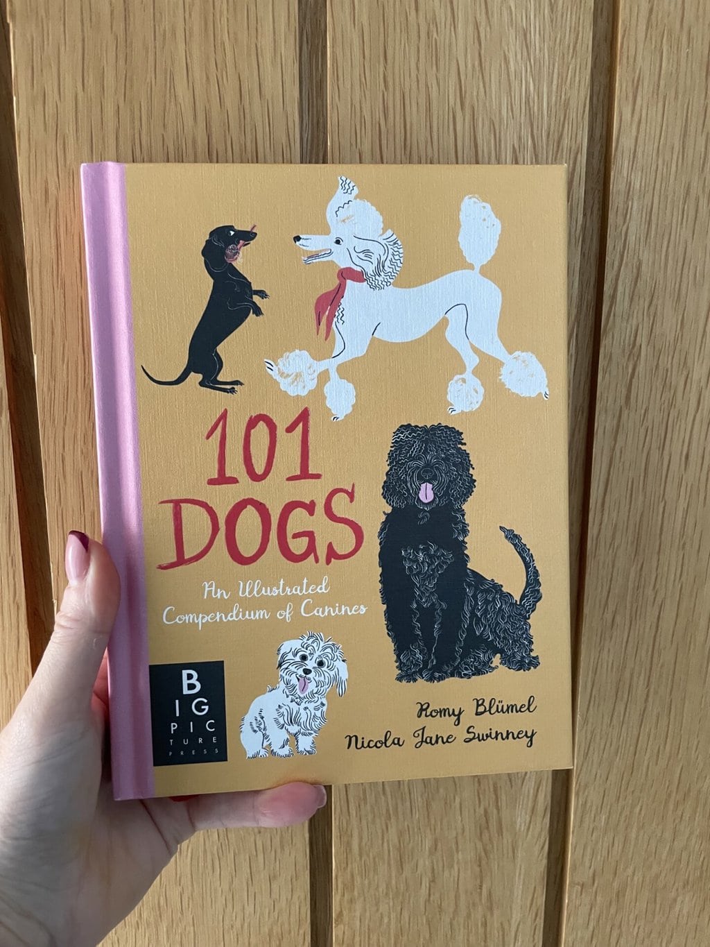 101 Dogs -Romy Blumel (author),