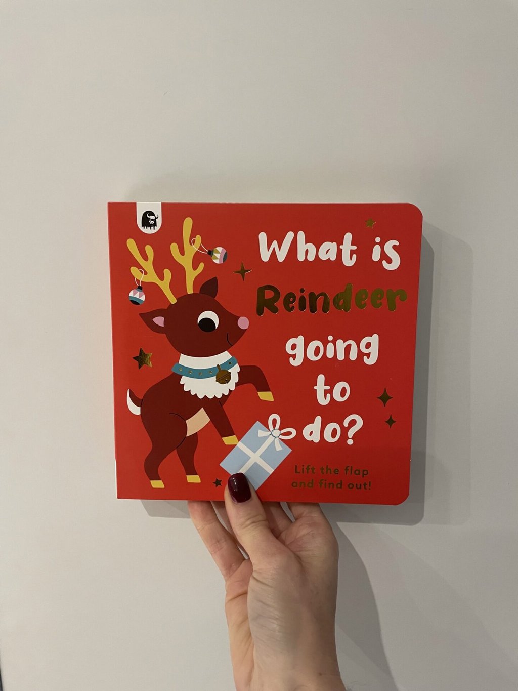 What is Reindeer Going to Do?