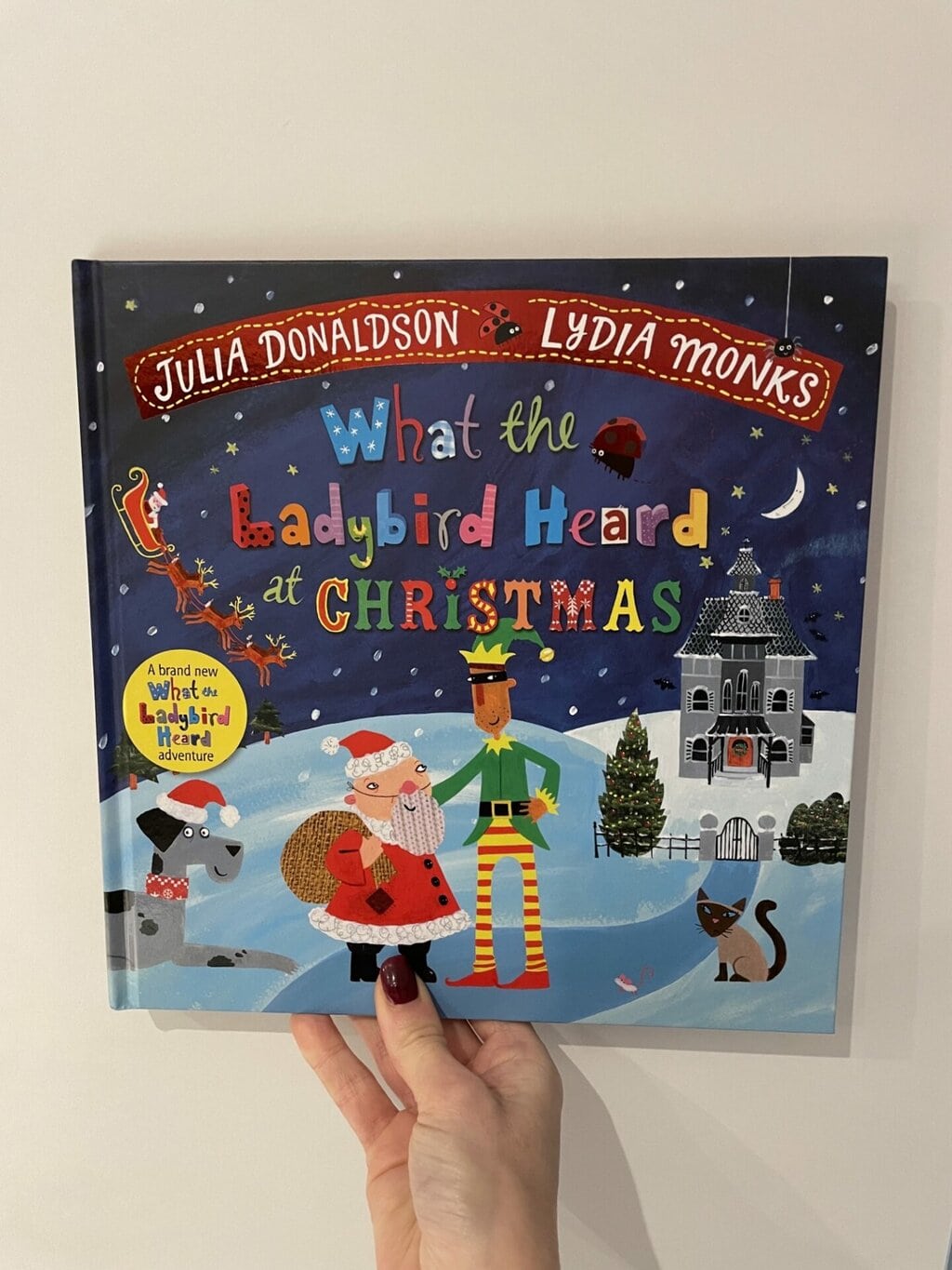 What the Ladybird Heard at Christmas
