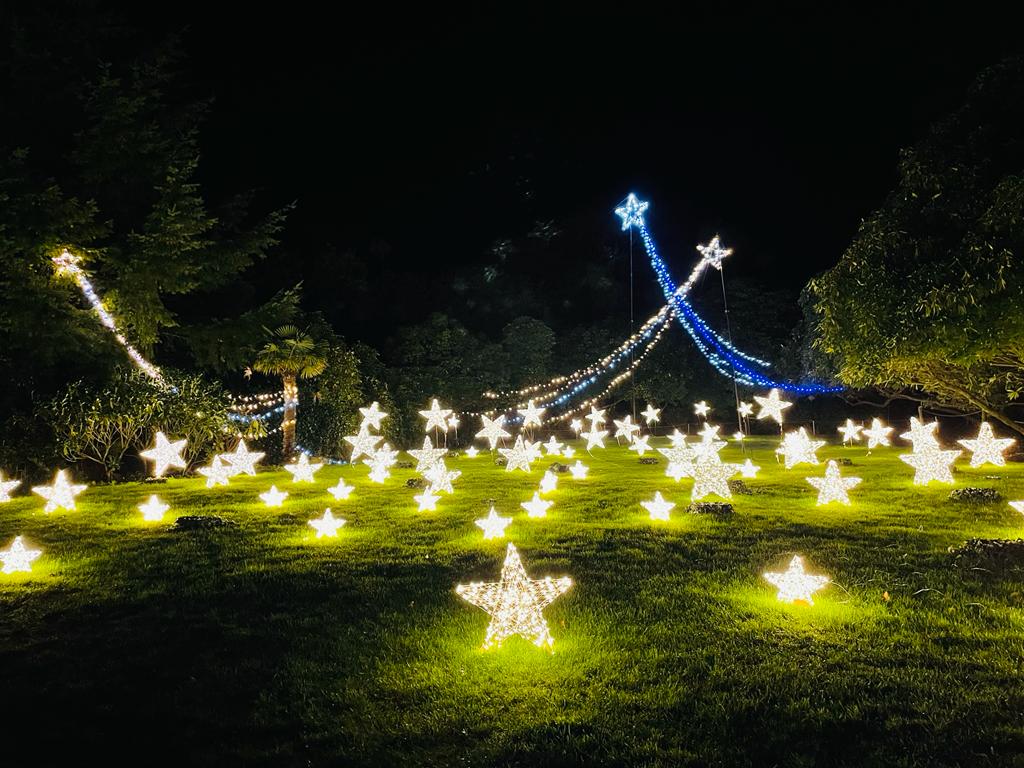 Heligan Night Garden | Review