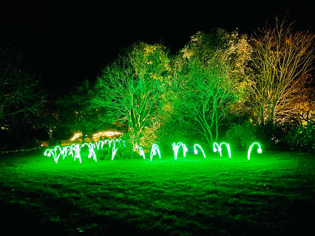 Heligan Night Garden | Review