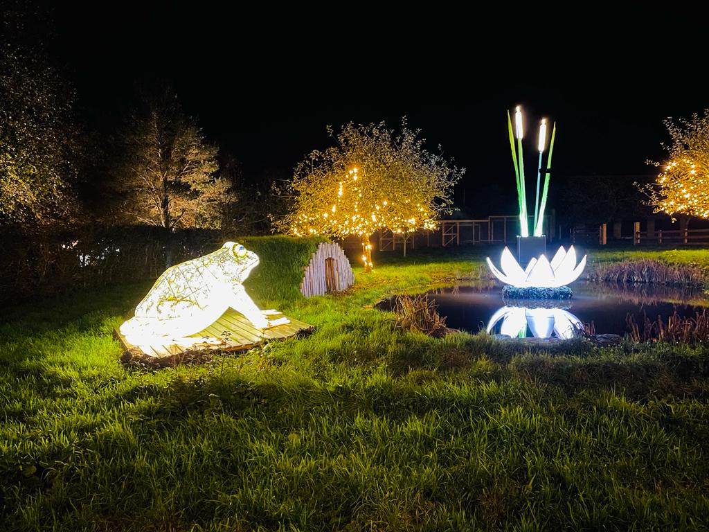 Heligan Night Garden | Review