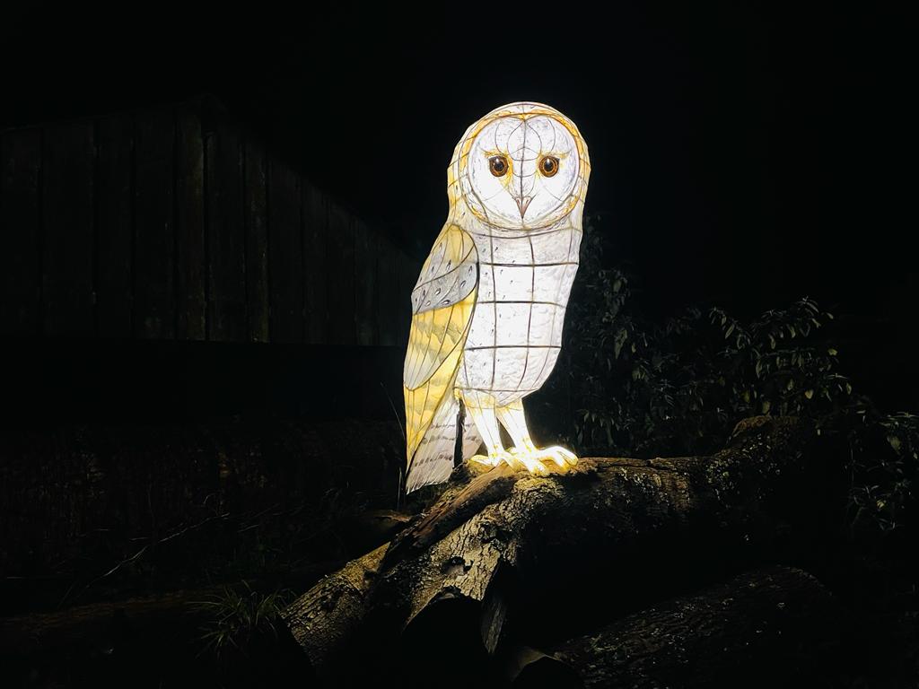Heligan Night Garden | Review