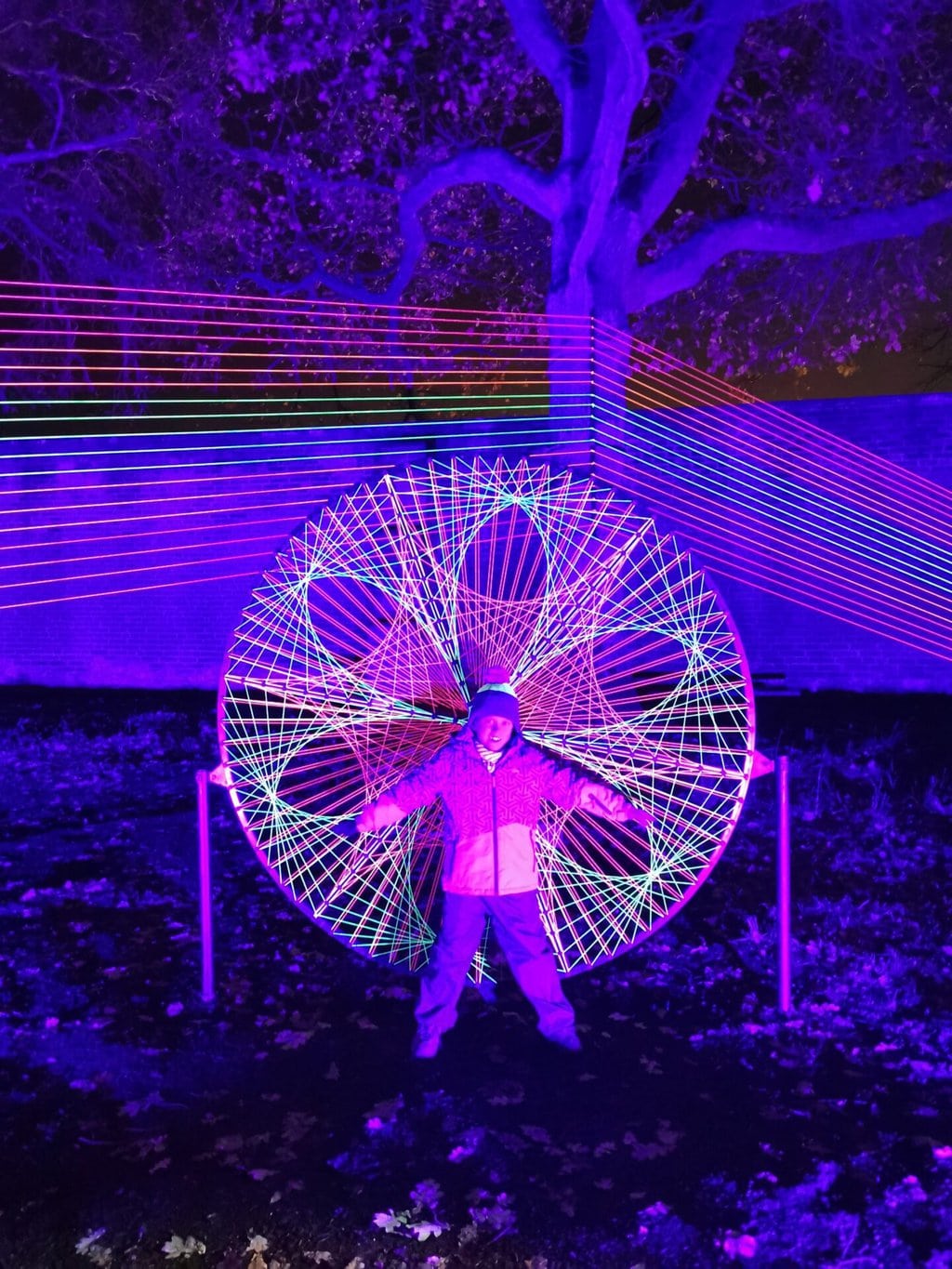 Gibside Illuminated Trail