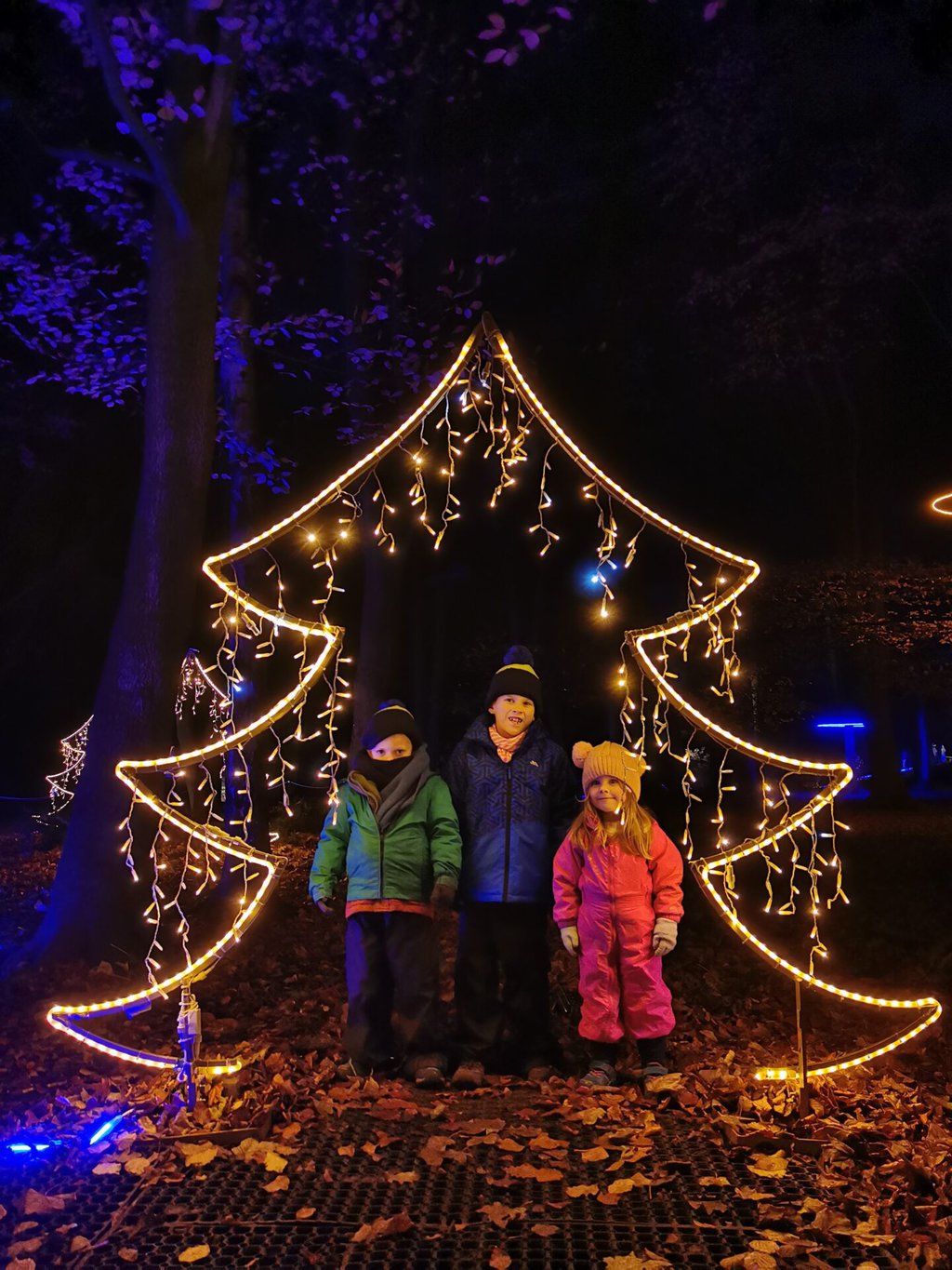 Christmas at Gibside | Gibside Illuminated Trail