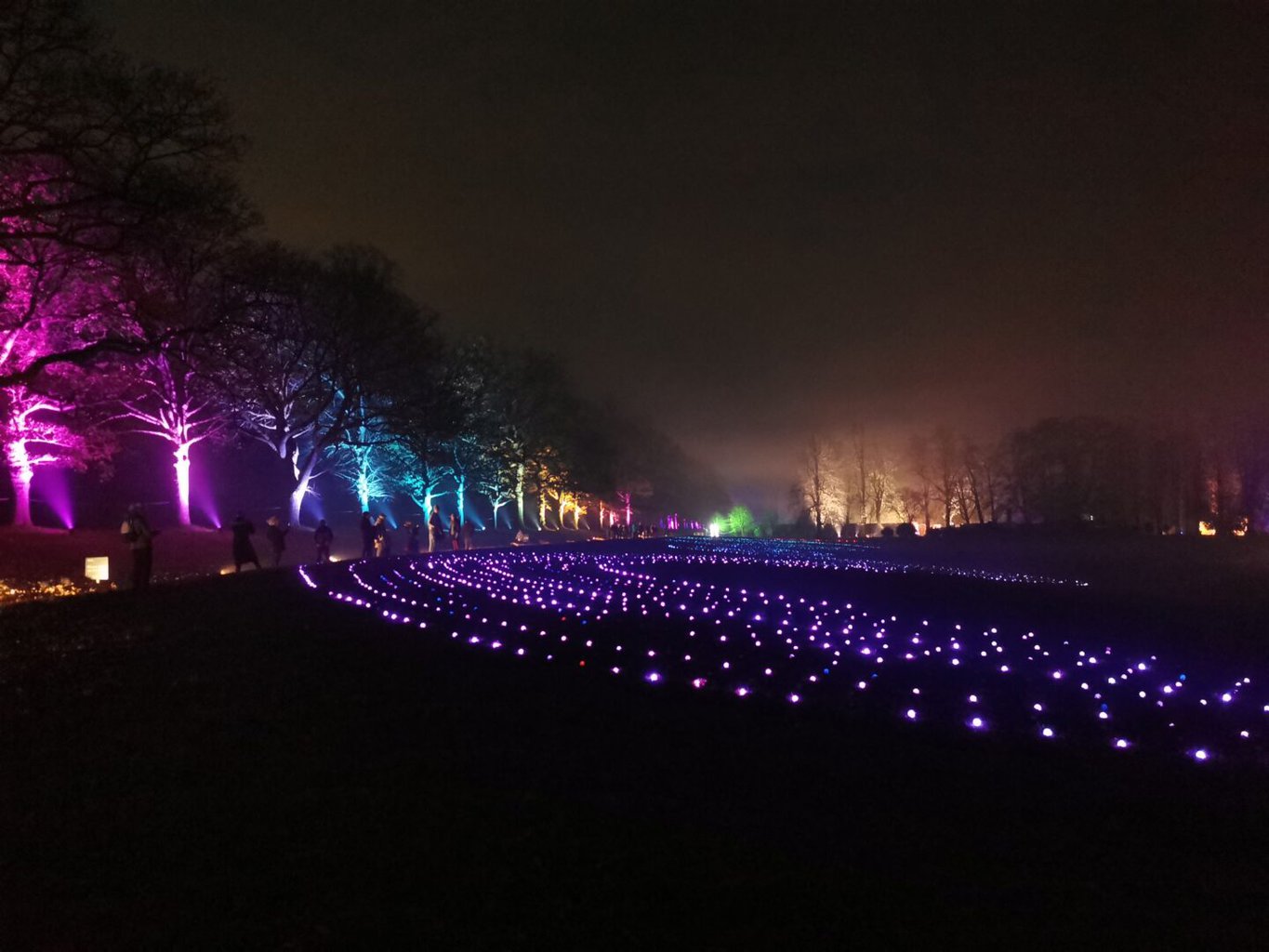 Christmas at Gibside | Gibside Illuminated Trail