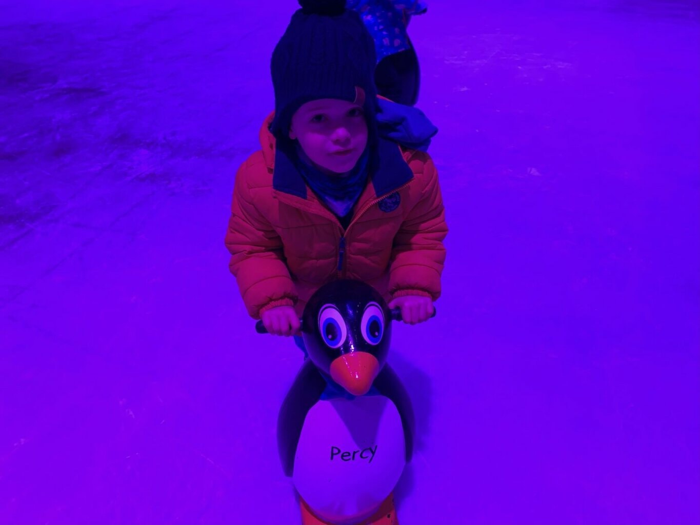 Christmas at the Eden Project