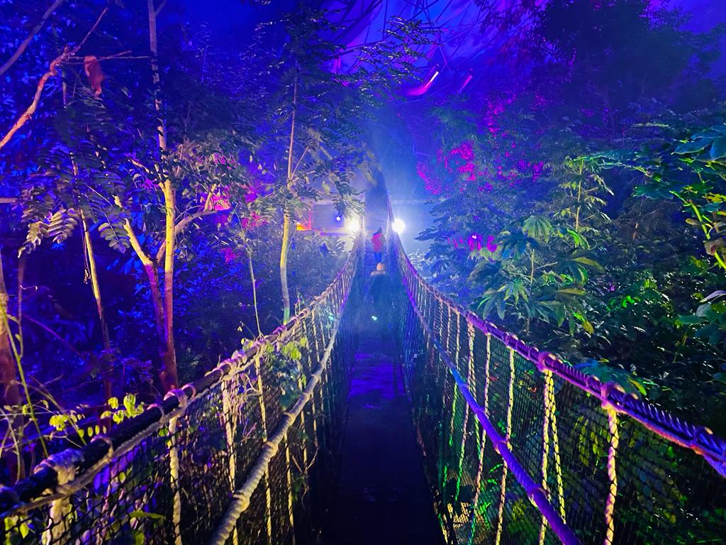 Christmas at the Eden Project