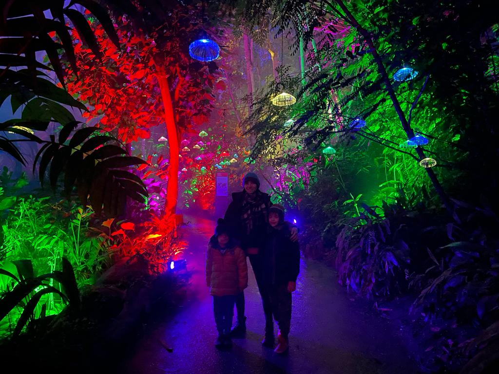 Christmas at the Eden Project