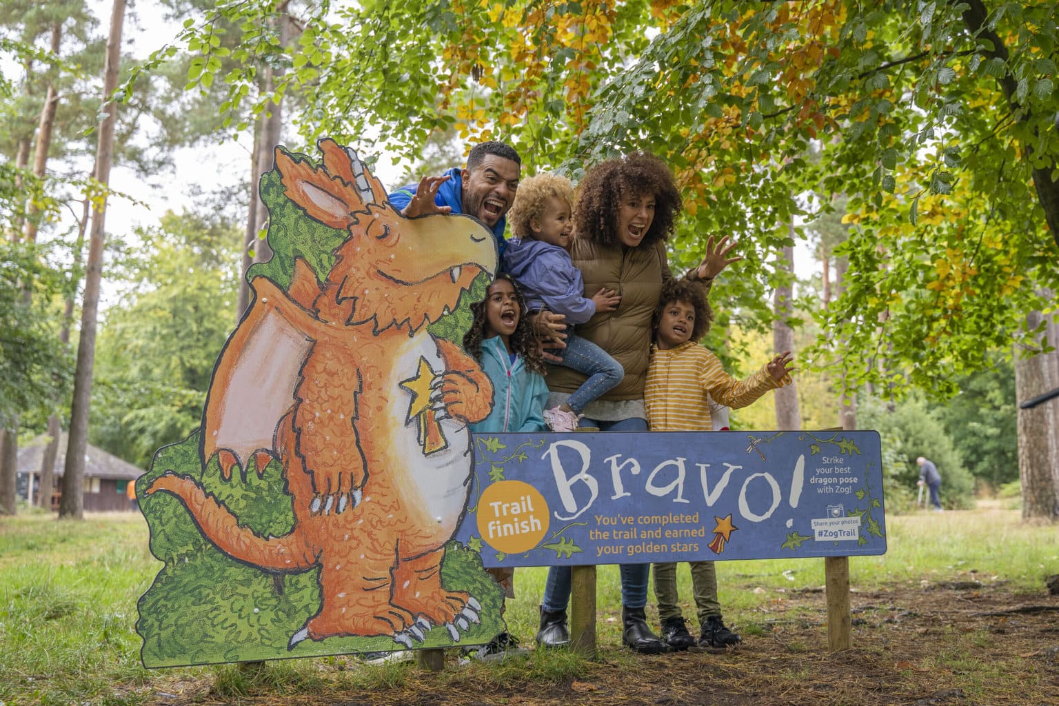 FREE Activity Trail: Zog Trail is the new Forestry Commission Trail