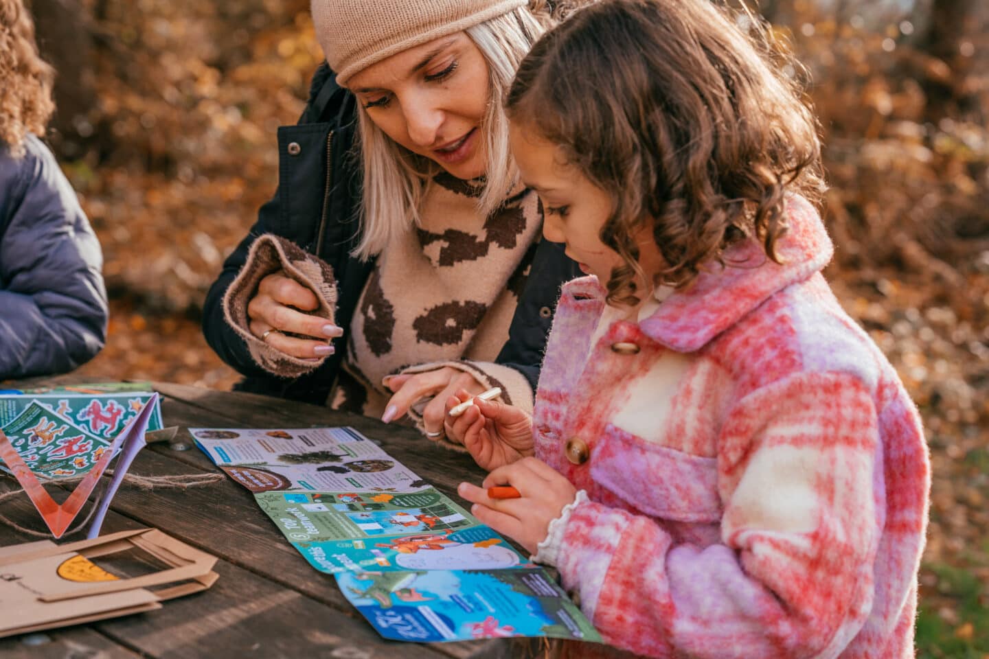 FREE Activity Trail: Zog Trail is the new Forestry Commission Trail