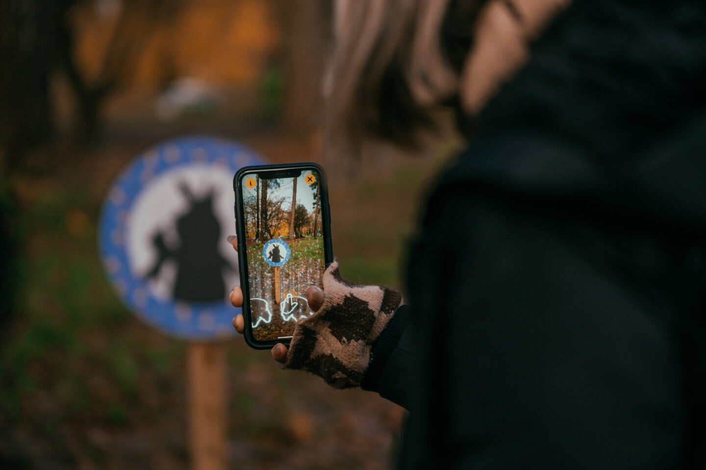 FREE Activity Trail: Zog Trail is the new Forestry Commission Trail