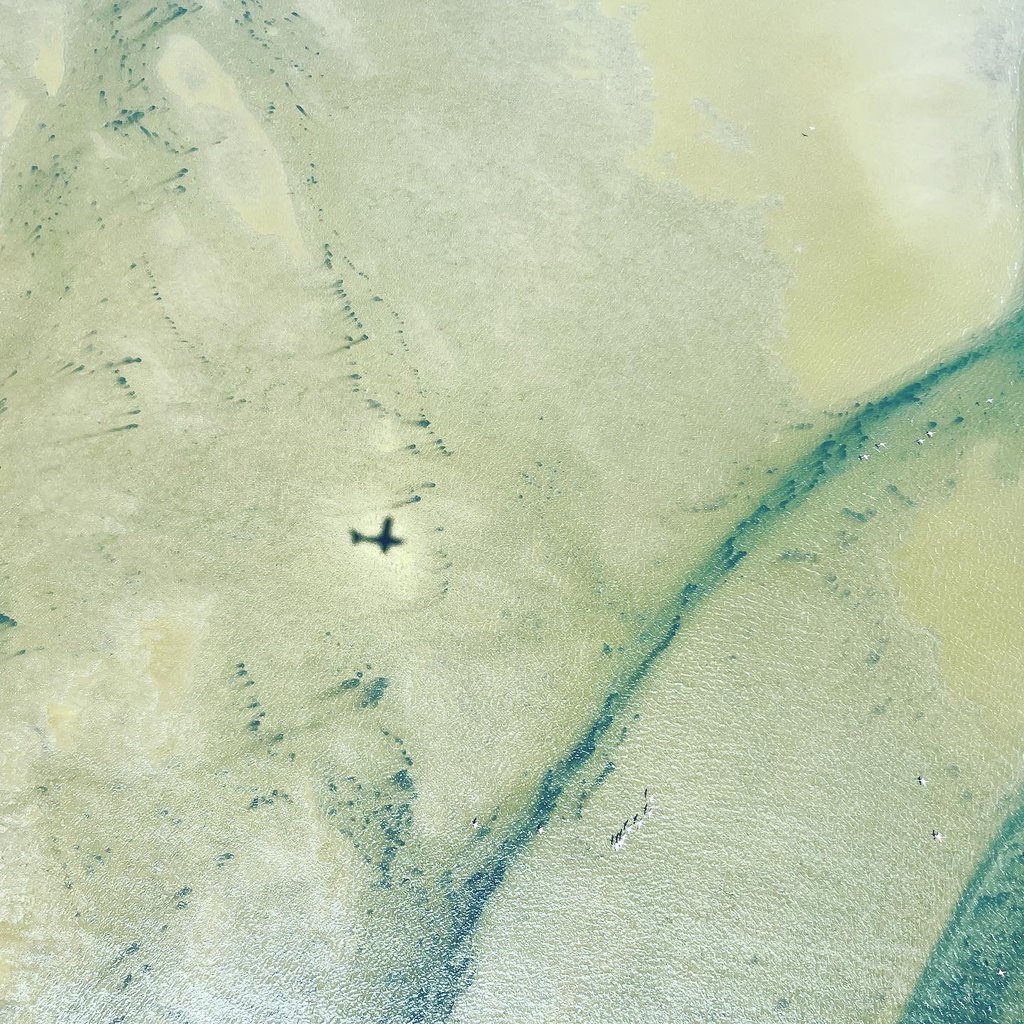 Scenic Flight in Namibia