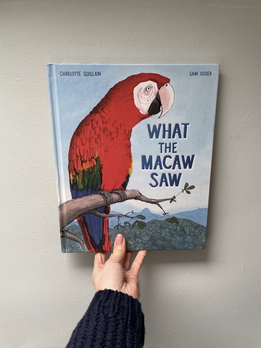 What the Macaw Saw – Charlotte Guillain