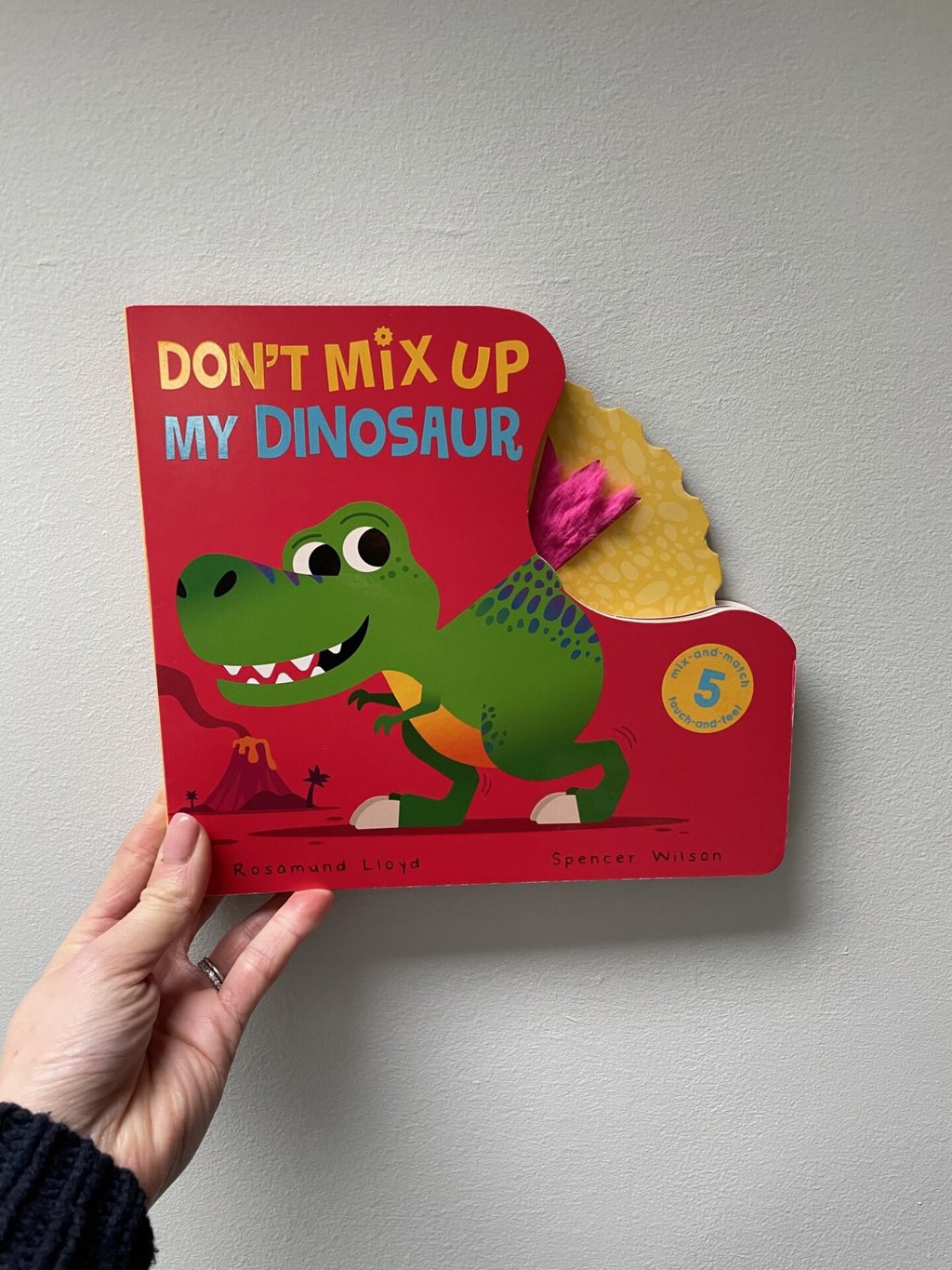 Don’t Mix Up My Dinosaur – Rosamund Lloyd