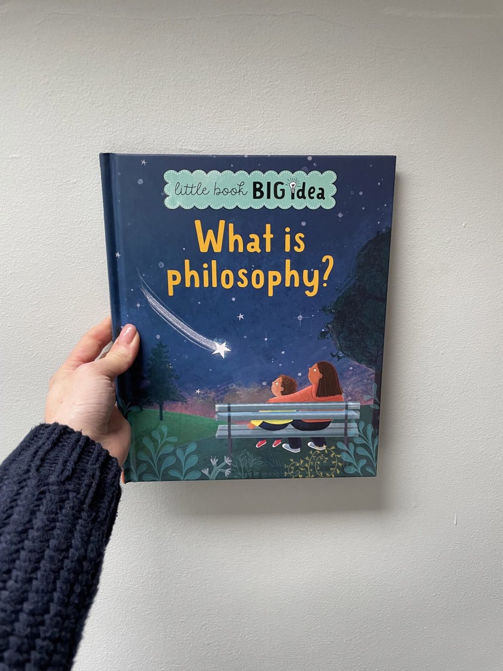 Little Book, Big Idea: What is Philosophy?