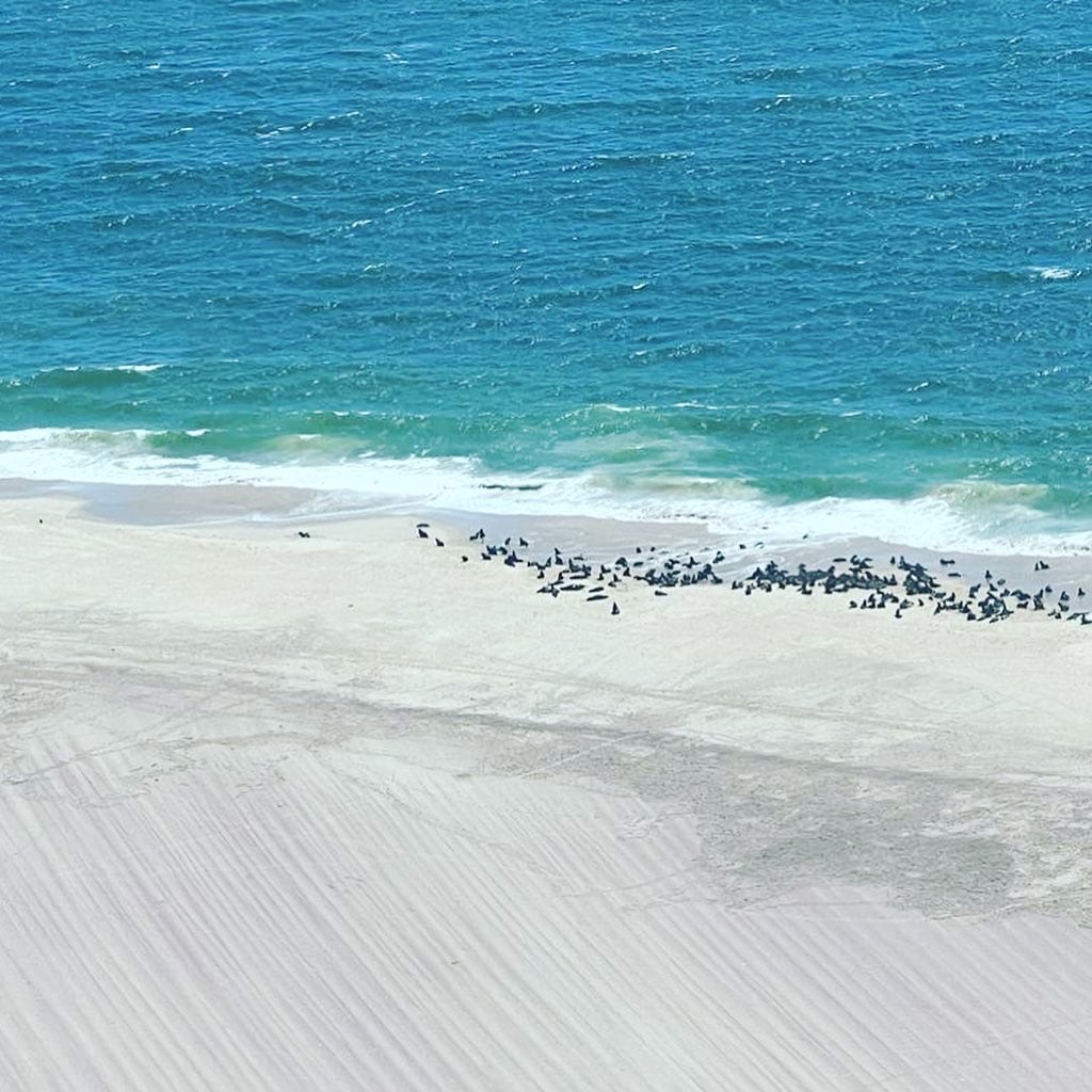 Scenic Flight in Namibia