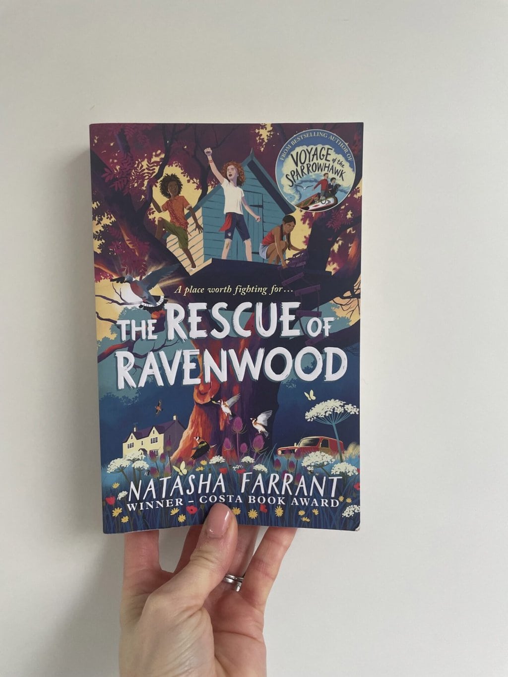 The Rescue of Ravenwood