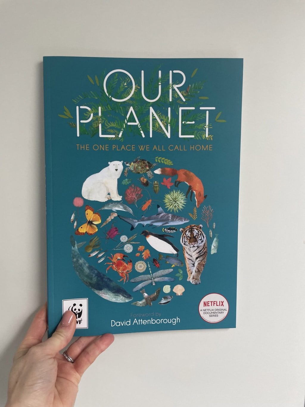 Our Planet – Matt Whyman