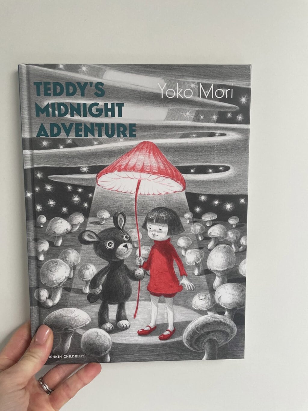 Teddy’s Midnight Adventure