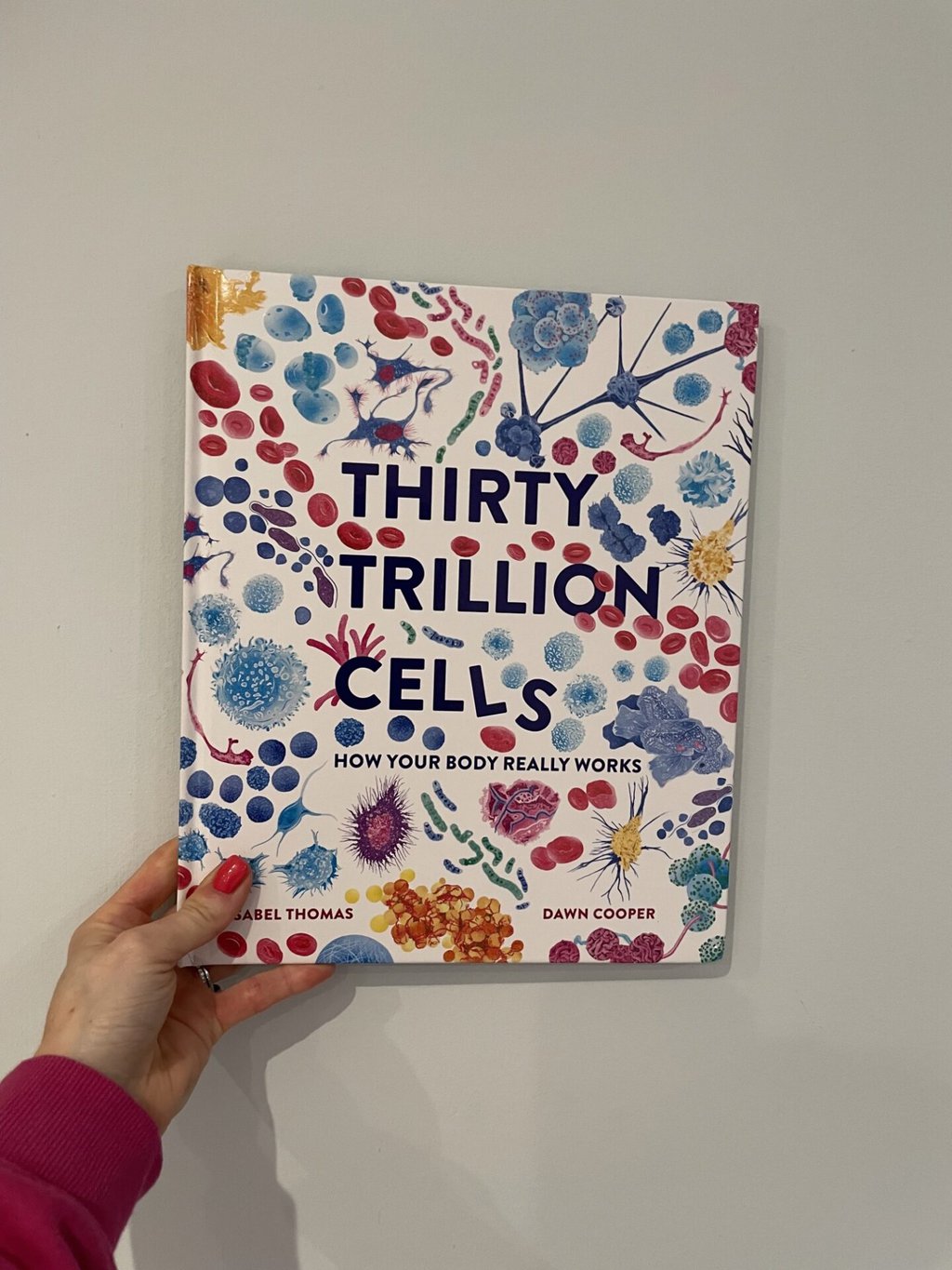 Thirty Trillion Cells - Isabel Thomas (