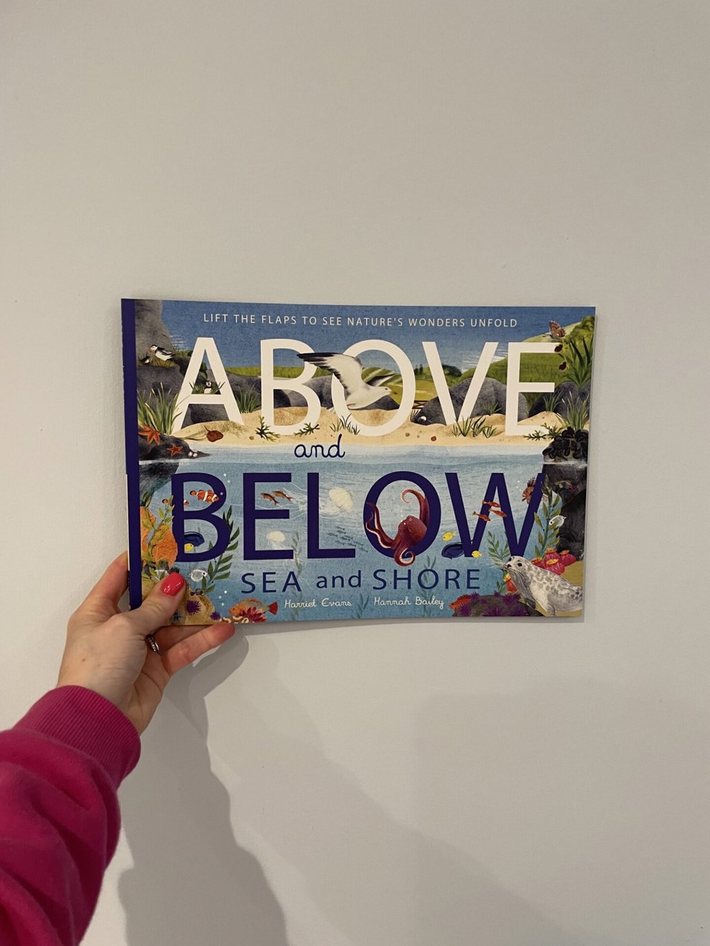 Above and Below - Sea and Shore
