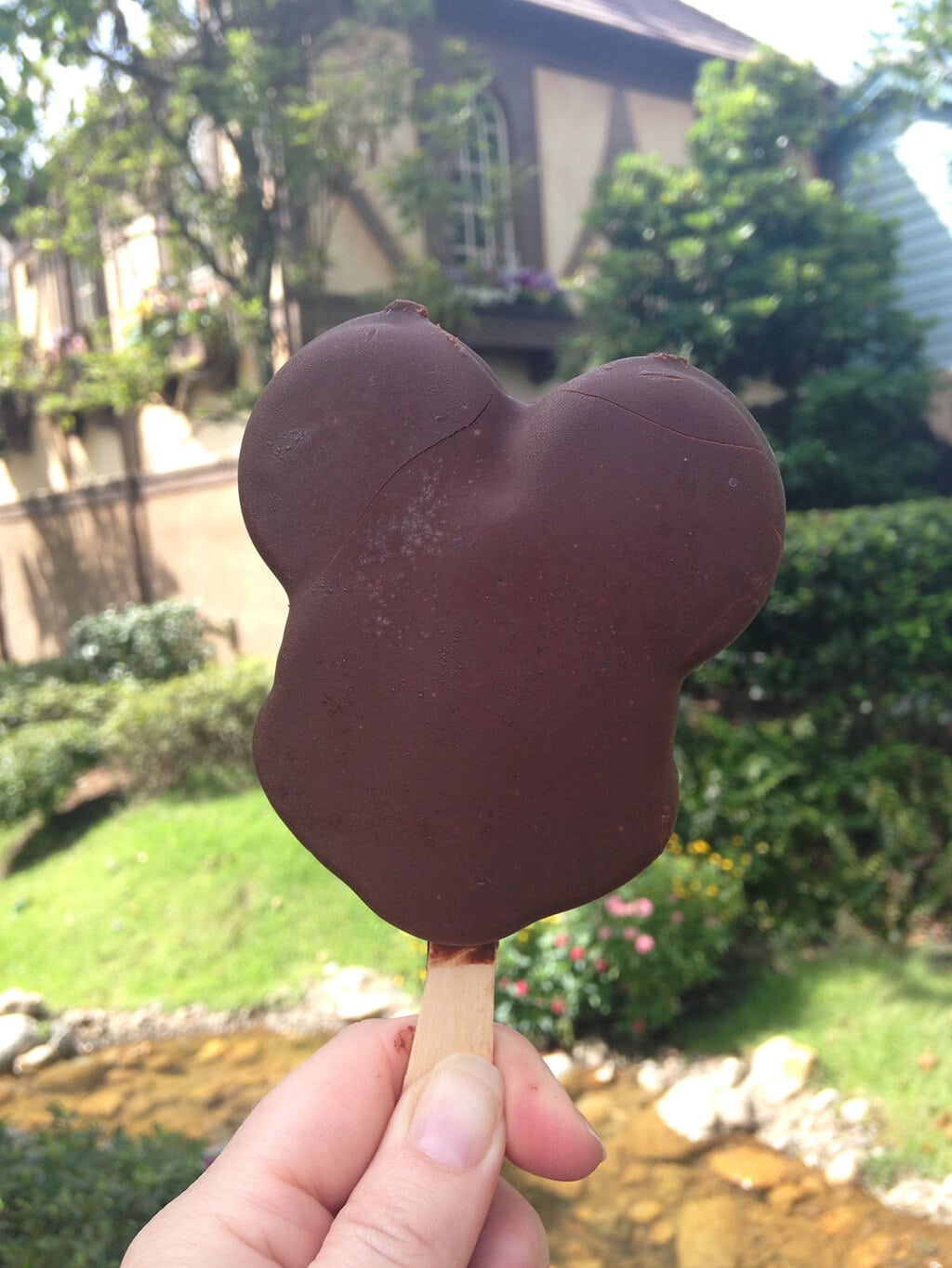 Save Money at Disney with Kids