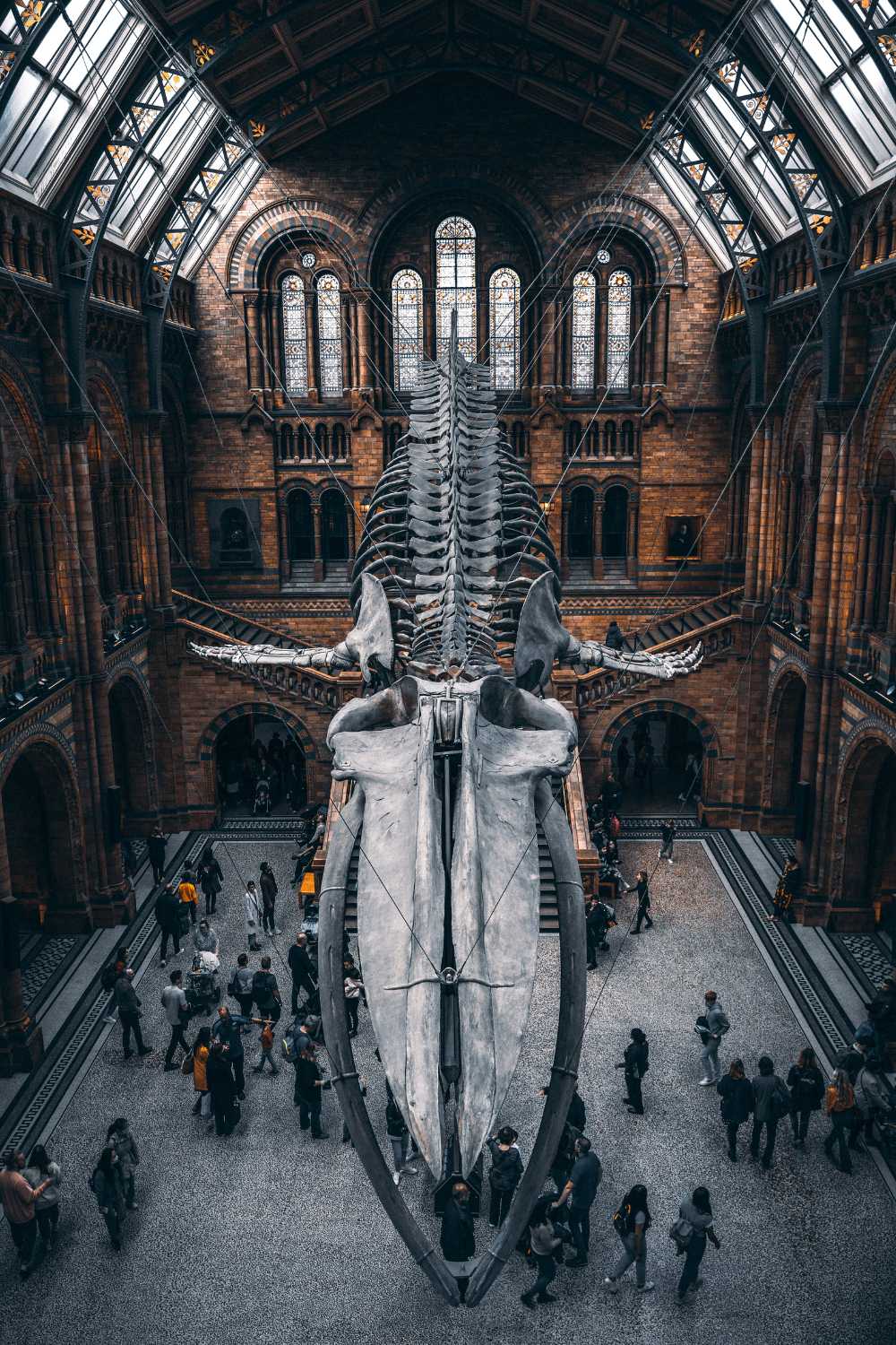 Attractions in the UK For Families