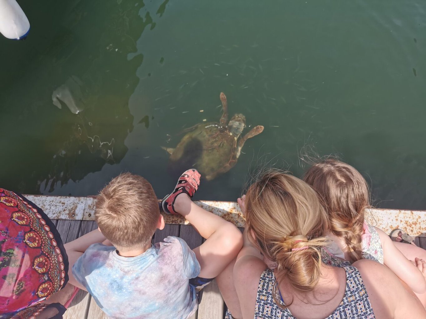 Happy Tours Turkey Dalyan Boat Trip