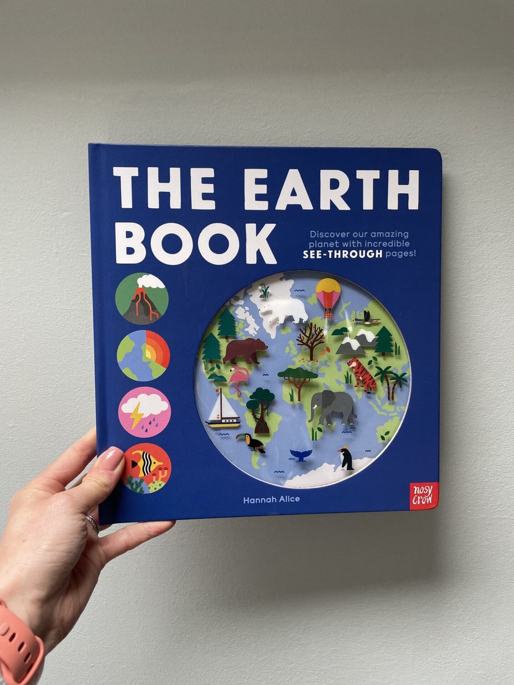 he Earth Book - Hannah Alice