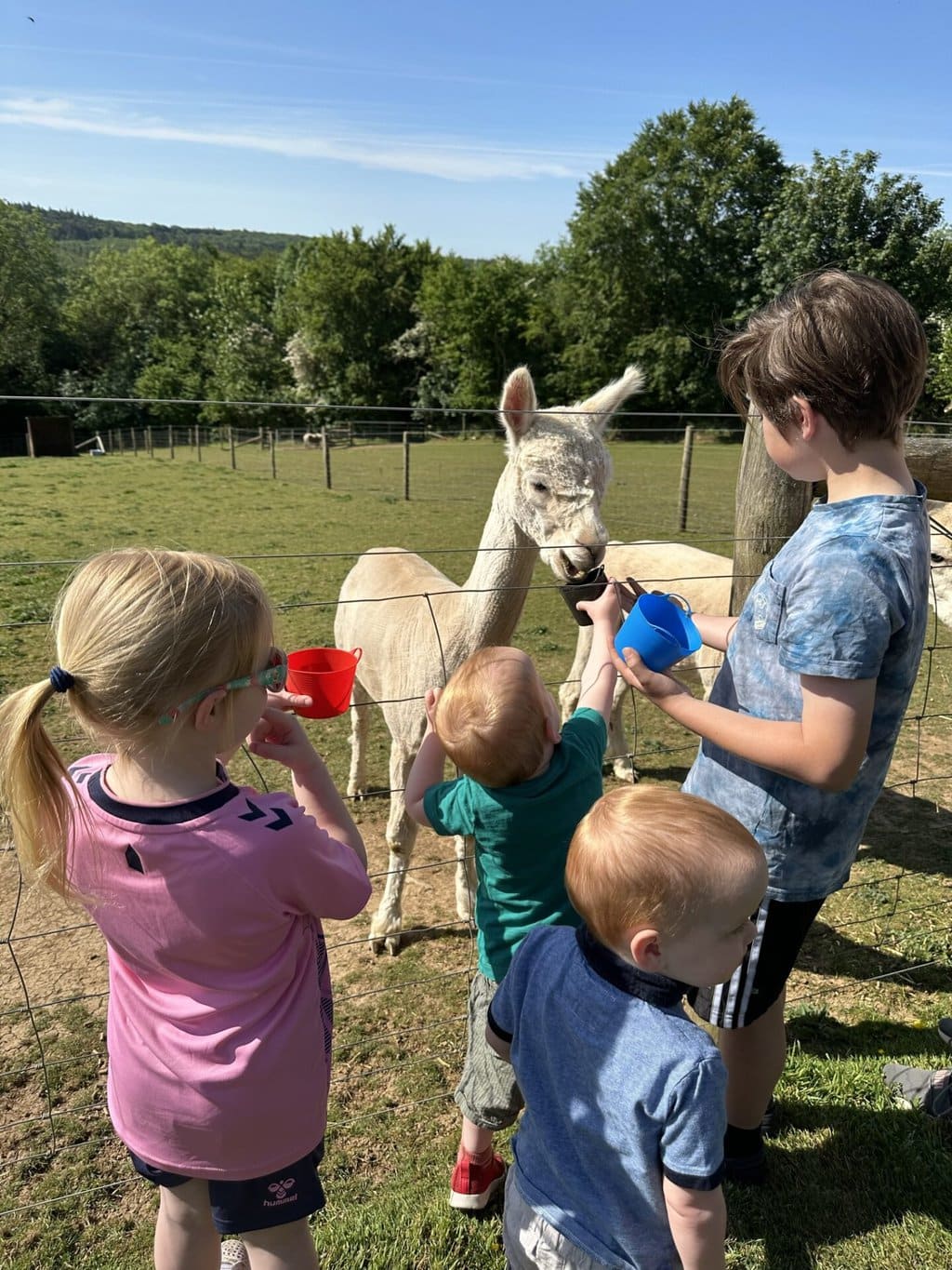 Glamping in Cornwall at Glynn Barton Holiday Cottages