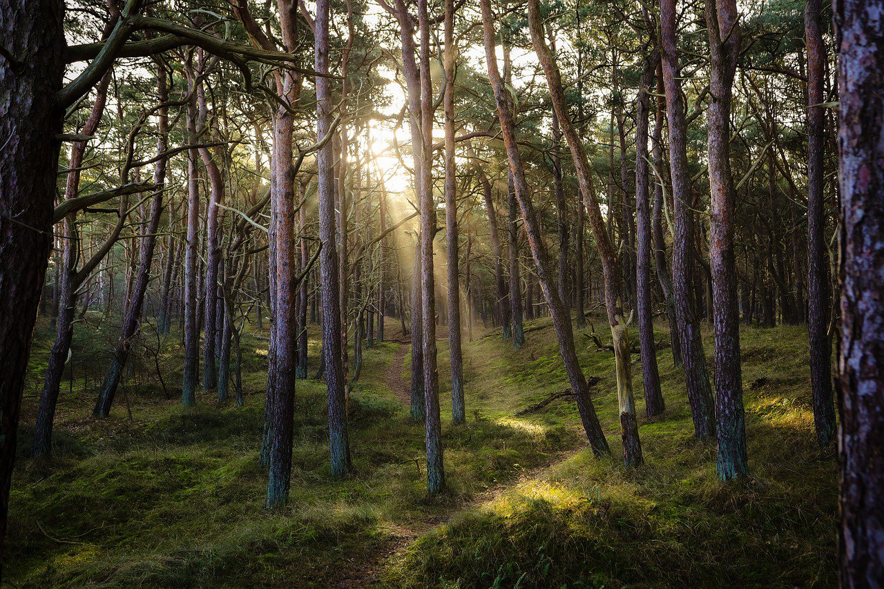 21 of The Best Texas State Parks To Put On Your Bucket List