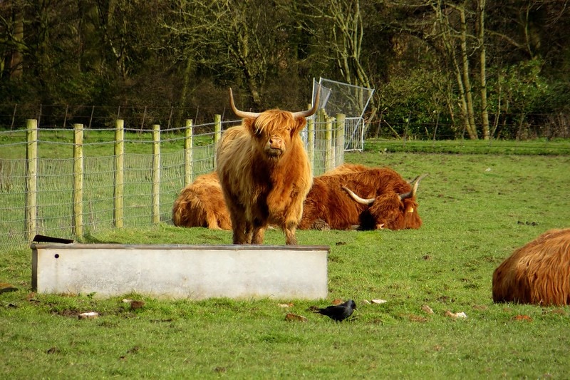 Croxteth Park Farm