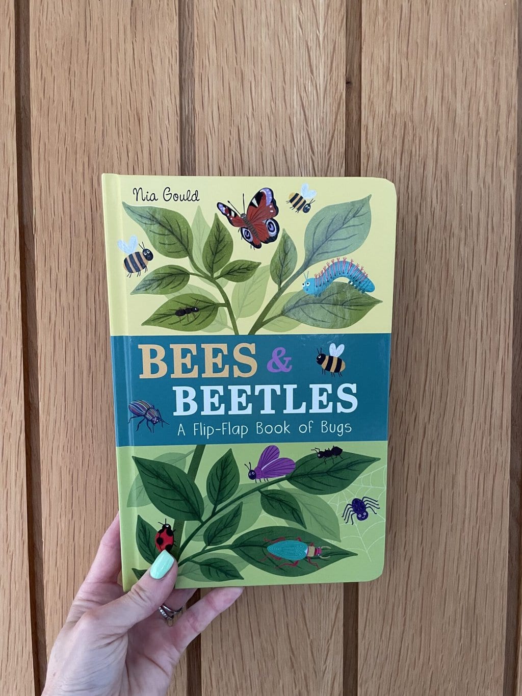 Bees and Beetles - A Flip-Flap Book of Bugs