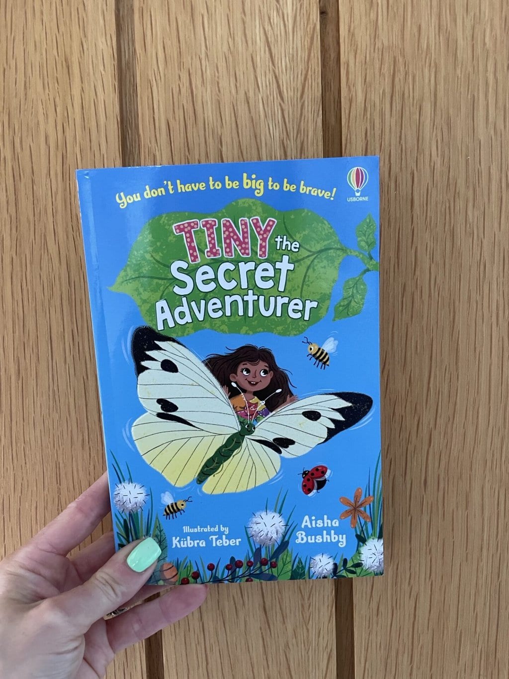 Tiny the Secret Adventurer - Aisha Bushby