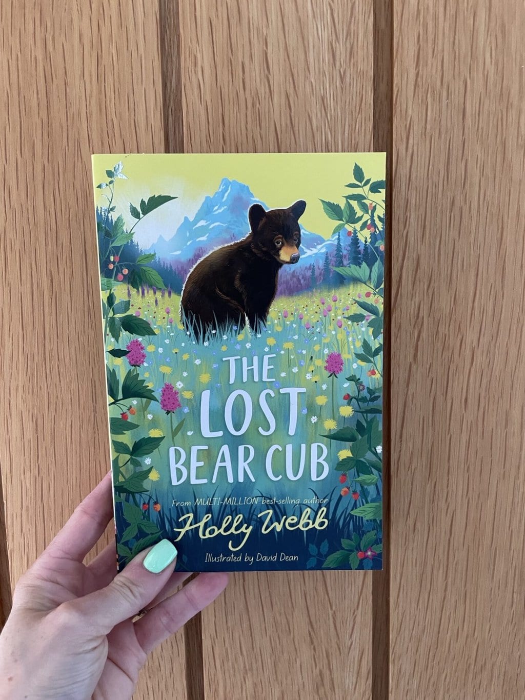 The Lost Bear Cub - Holly Webb