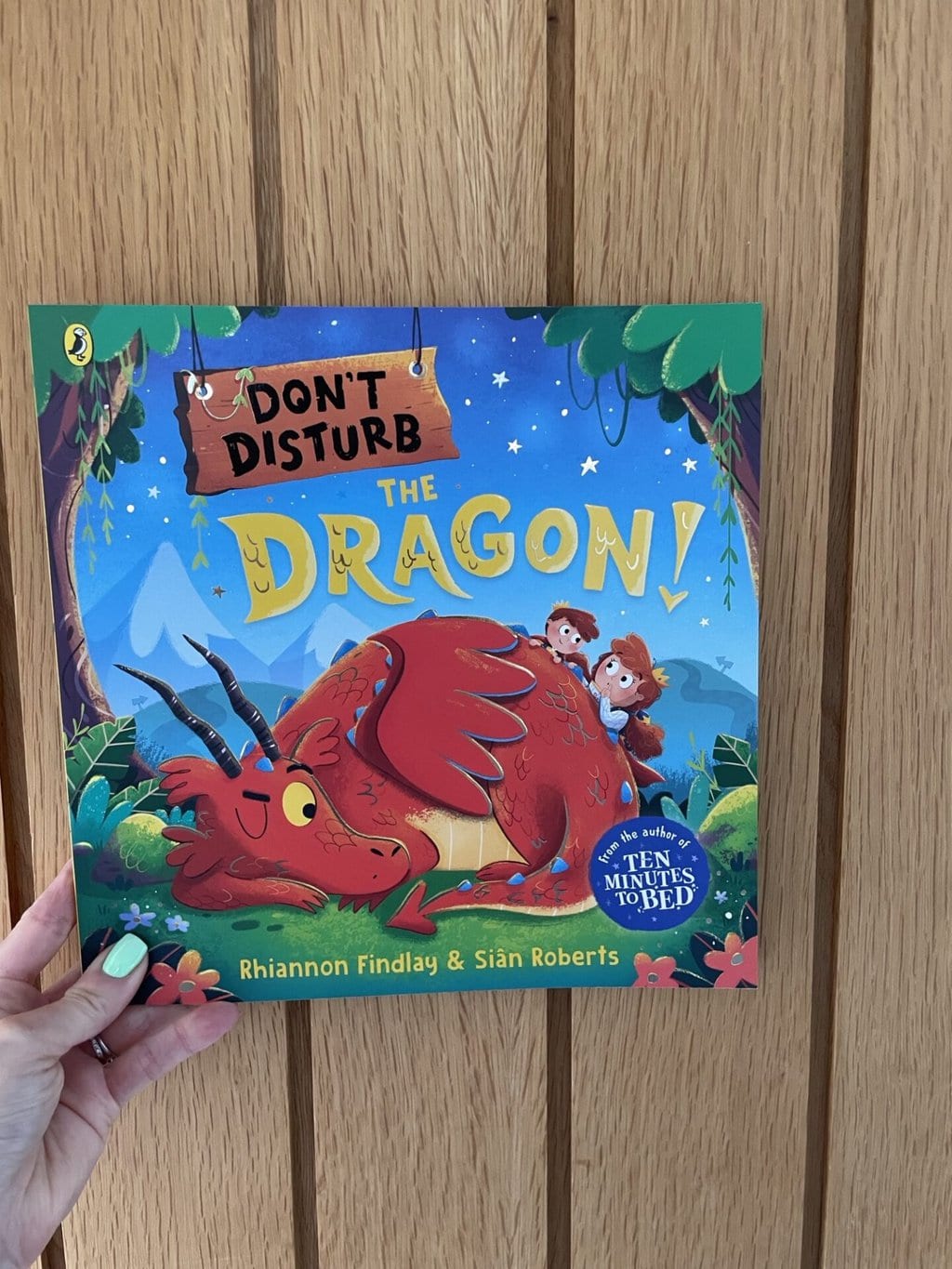 Don’t Disturb the Dragon - Rhiannon Fielding
