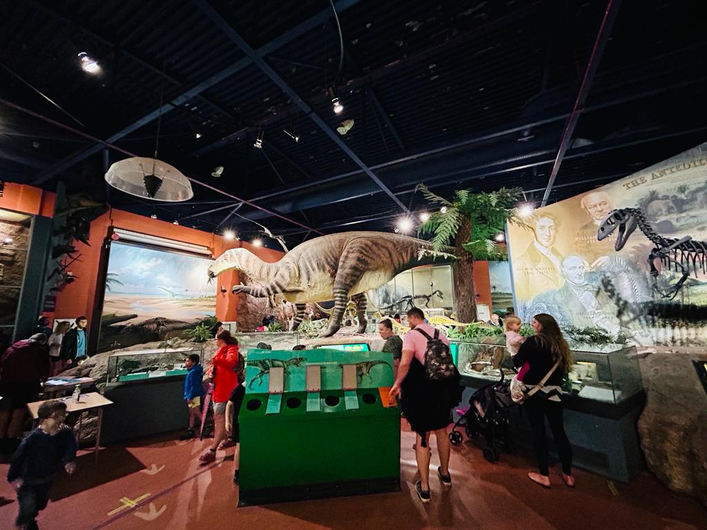On a rainy day in August, my family and I took a trip to the Dinosaur Isle Museum on the Isle of Wight to learn more about the dinosaurs that lived on the island over 125 million years ago.