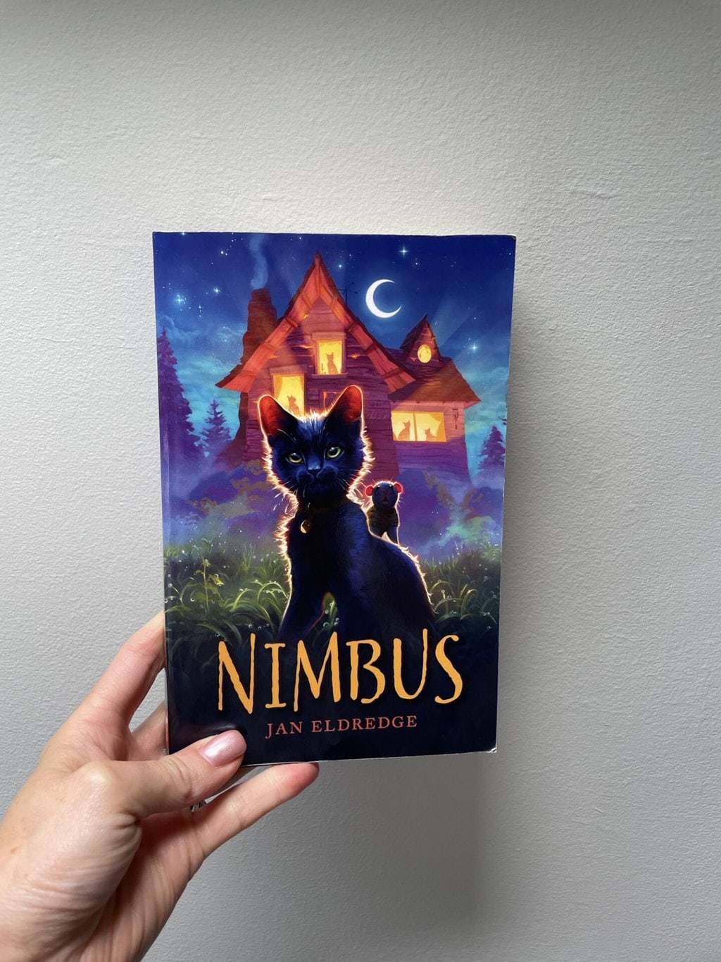 Nimbus - Jan Eldredge