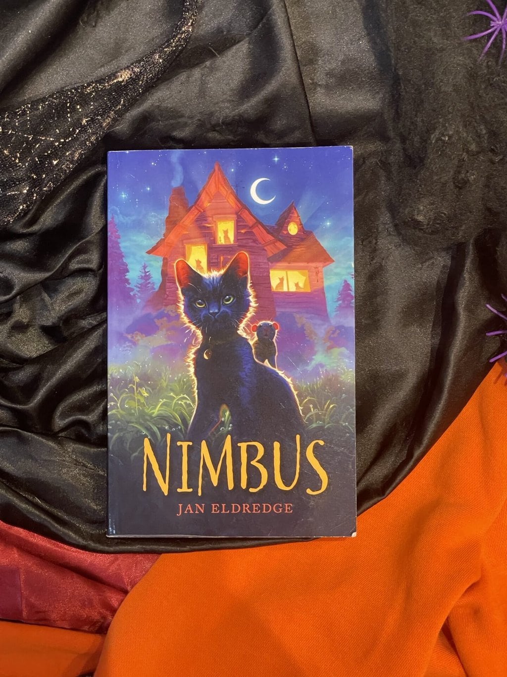 Nimbus - Jan Eldredge