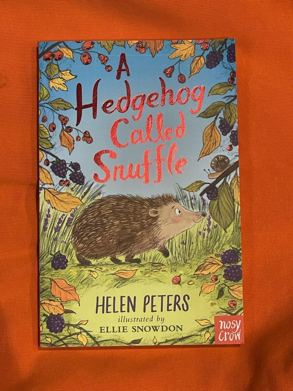 A Hedgehog Called Snuffle