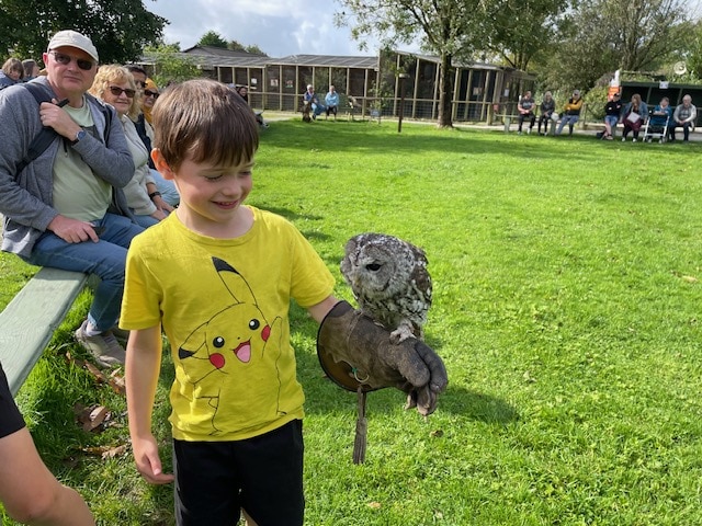 I highly recommend visiting Screech Owl Sanctuary and Animal Park if you are ever in Cornwall. We had a brilliant day, learnt lots about owls and wildlife and made some brilliant memories.