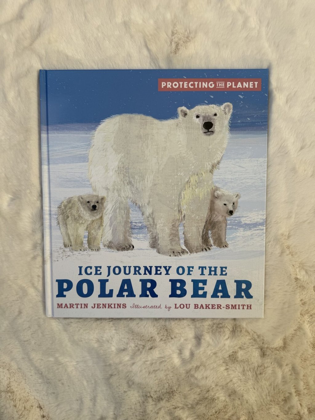 Ice Journey of the Polar Bear