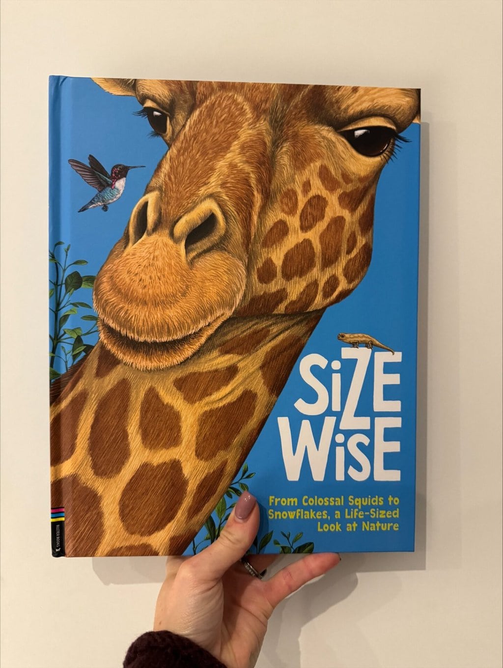 Size Wise - Camilla de la Bedoyere