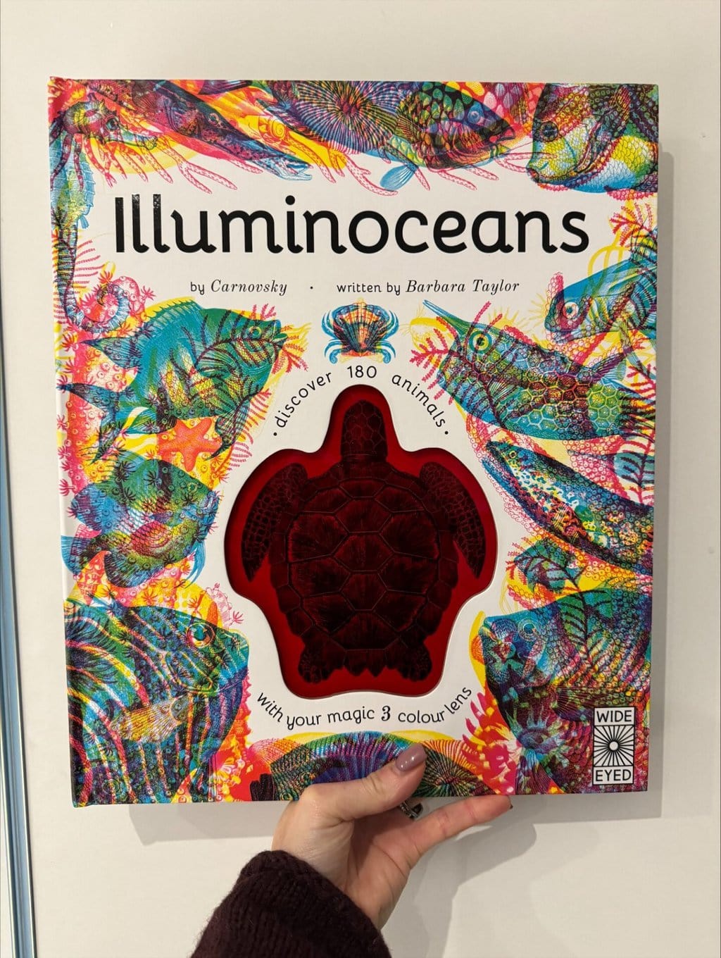 Illumioceans