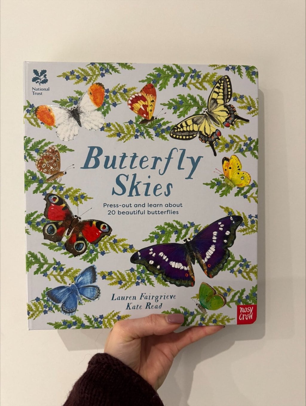 Butterfly Skies