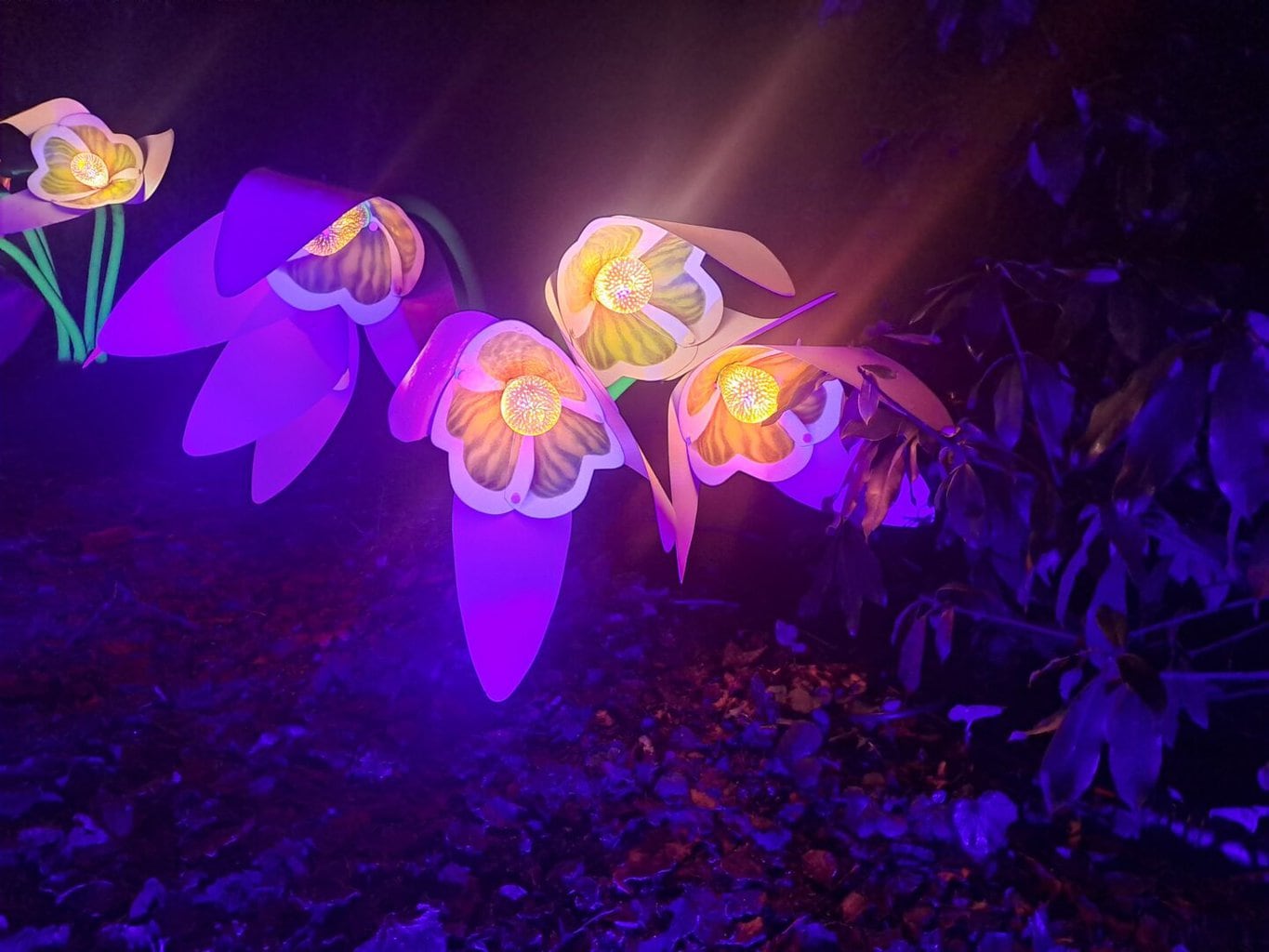 Heaton Park Christmas Light Trail