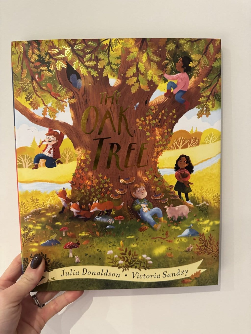 The Oak Tree - Julia Donaldson